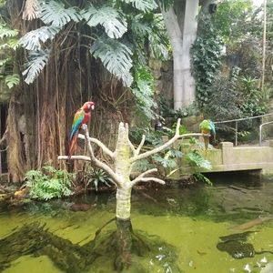 Meet your Posher, Fabiola